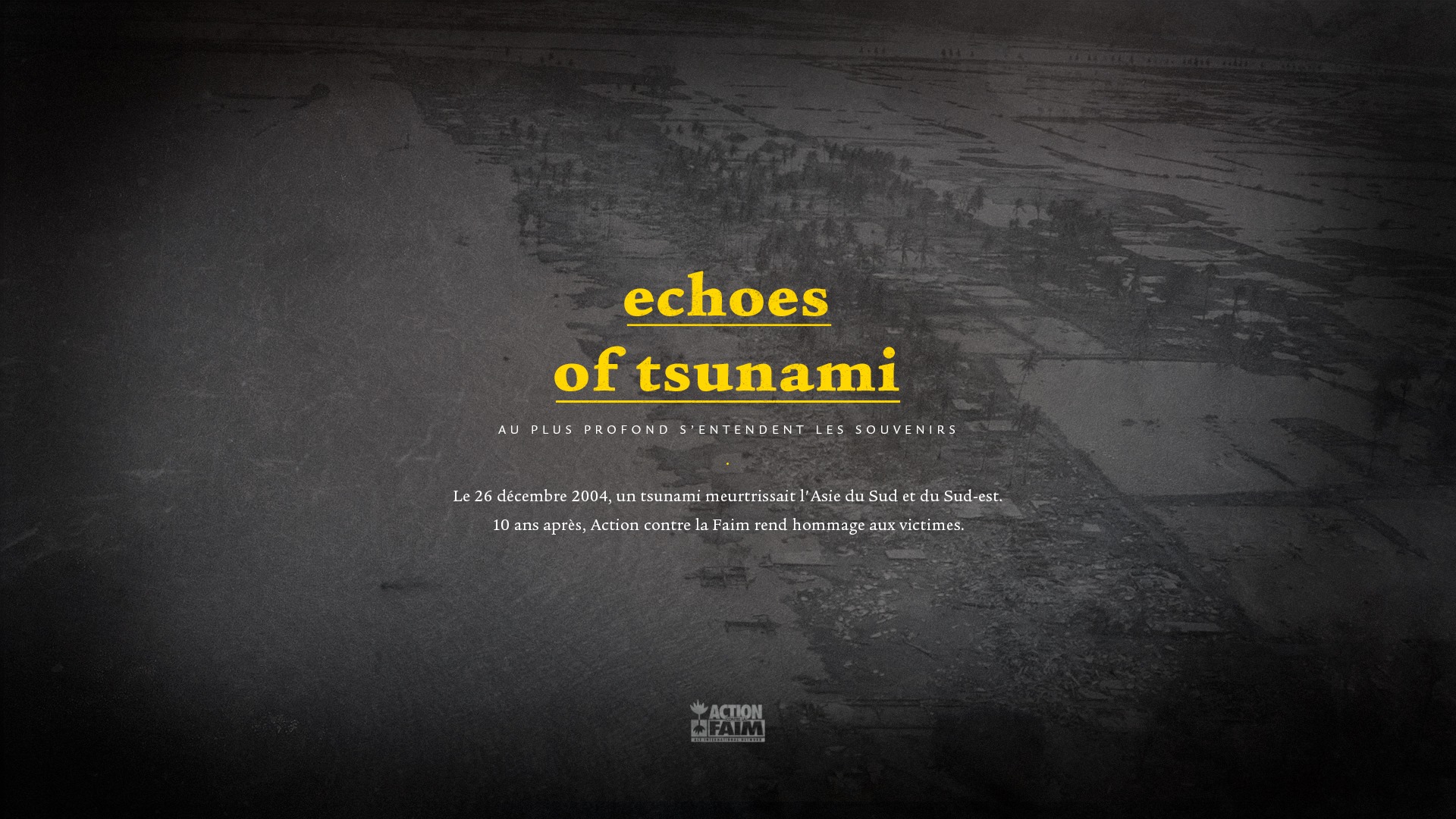 Echoes Of Tsunami